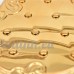 CSNMALL Laisse Rétractable Pour Animaux De Compagnie Coque En Plastique ABS Corde En Nylon  Protection Sûre et Environnementale 3 Mètres ( Color : Gold ) - B07BF4MSSN