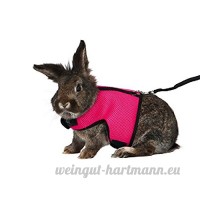 Asocea réglable Soft Harnais avec laisse extensible pour Bunny Cat - B078X3R4BT