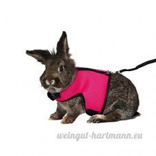 Asocea réglable Soft Harnais avec laisse extensible pour Bunny Cat - B078X3R4BT
