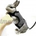 Asocea réglable Soft Harnais avec laisse extensible pour Bunny Cat - B078X4FMQR