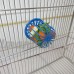 GUBENM 1 PCS Perroquet Oiseaux oiseau mangeoire dispositif d'alimentation  Oiseau Cage Titulaire Perroquet Cage Fruit Feeder Légumes Suspension Panier Conteneur Pet Jouets Oiseau Fournitures - B07D9J1WM3