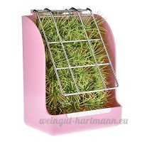 Herbe Cadre Lapin Feeder Hay Manger Rack pour petit animal  lapin  cochon d'Inde  Galesaur  furet (Pink) - B07CLL3RBQ