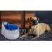 Nwyjr Pet Fontaine Fontaine pour eau potable de circulation est naturellement pour animal domestique Mangeoire Energy bols pour chien et chat - B071ZQCG81