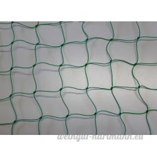 Pieloba Filet de clôture Vert – Maille 5 cm Épaisseur 1 2 mm – Taille : 0 50 m x 50 m - B00BEFX714