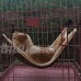 NNNKO Chat Chaton Hamac Couverture Cage Hanging Lit pour Rat Ferret Lapin-S - B07D26QT2C