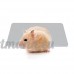 Reefa Coussin Rafraîchissant Pour Corbeille  Matelas  Lit & Maison  Garder les petits animaux Hamster Cool et Confort - B07D6L437P