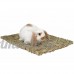 UEETEK 3 pcs / pack Pet Mat tapis d'herbe Safe comestibles Mats Cages jouets à mâcher pour animaux de compagnie - taille 40x28cm - B07C8CJN9C
