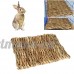 UEETEK 3 pcs / pack Pet Mat tapis d'herbe Safe comestibles Mats Cages jouets à mâcher pour animaux de compagnie - taille 40x28cm - B07C8CJN9C