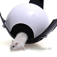 Multifonction Hamster Gerbille Cage Capsule spatiale Pet Jouer Excersice Nest Noir - B01FQMVIG6
