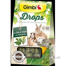 Drops avec herbes de Champ Snack pour Rongeurs sans céréales 50 g - B06Y2W9QTQ