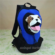 Paquet pour animaux de compagnie Go Out Sac pour chat portable Sac pour chien Sac pour poitrine Pet Backpack Backpack ( couleur : Bleu   taille : 40*19*46cm ) - B01N0UHCW0