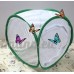 insectes et papillon Cage Terrarium pop-up (30 5 x 30 5 x 30 5 cm) Vert - B071DFPLND