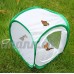insectes et papillon Cage Terrarium pop-up (30 5 x 30 5 x 30 5 cm) Vert - B071DFPLND