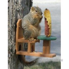 Songbird Essentials SE526 polyester recycl- Squirrel Table & Chair - B007SOWP5Y