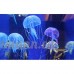 5 morceaux de méduses artificielles pour décoration Aquarium - B012CHM920