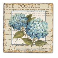 Blue Hydrangea Single Tumbled Tile Coaster - B00NO588DE