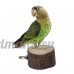 Onewiller Parrot Cage à oiseaux jouet support en bois (6–7 cm) - B01LY4262B