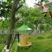 Oiseaux fresser  extérieur Jardins promoteur intérieur enregistrement  Mangeoire à oiseaux  17 × 17 × 23 cm - B071SDX8T2