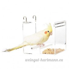 Northern Parrots Parrot Nourriture Mate – Acrylique les Ennuis Feeder – Petit - B01N9QA32C