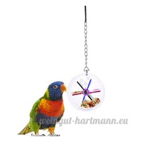 Animal domestique Oiseau Parrot Mangeoire à suspendre pour perroquet - B01HRR1JLW