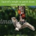 WOODLINK - Ladybug Bird Feeder  Squirrel-Resistant  18-In. - B00MKB5GTC