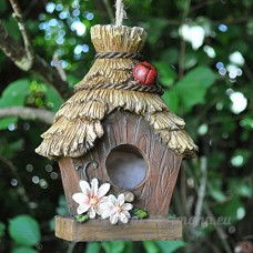 Décoration maison d'oiseau de jardin en résine avec "Toit de chaume" et de détails Coccinelle – 17 cm - B06XDRPJ8L