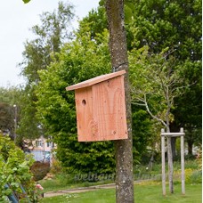 Nichoir boite aux lettres pour oiseaux des jardins Ø34mm en bois massif  fabrication artisanale - OUVERTURE FACILE - INSTALLATION SIMPLE ET RAPIDE - B07CQ3LFH4