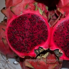 KINGDUO 50 Pcs/Pack Pitaya Graines Rouge Dragon Blanc Fruit Des Semences D'Arbres De Plantes Cour Extérieure-Rouge - B07D7S8C92