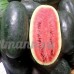 KINGDUO 30pcs géant pastèque graines noir tyran roi Super Sweet pastèque graines de jardin de fruits - B07D56W5PQ