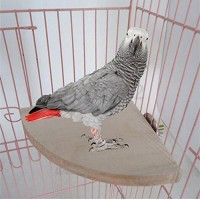 Perchoir Plate-forme Cage Oiseaux en Bois 17x17cm pour Perruche Calopsitte Perroquet Canari Hamster Totoro - B0714R5T7B