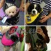 PETCUTE Pet Sling Chat Puppy Carrier Mesh épaule Carry Bag Sling Mains-Libres Sac de Voyage Rouge - B07C1VPFHX