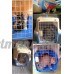 Tianlan Résine ABS Petits Animaux Boîte de transport Transport Pour Animal domestique - B071YYNQCB